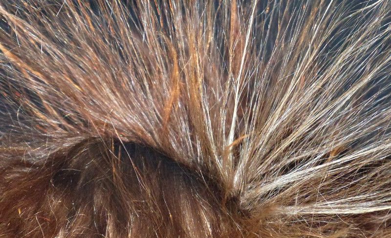 Haare unter Einfluss von Elektrostatik